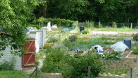 La longue histoire des jardins et des courtils