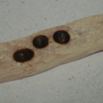 Préhistoire : la fabrication du feu.