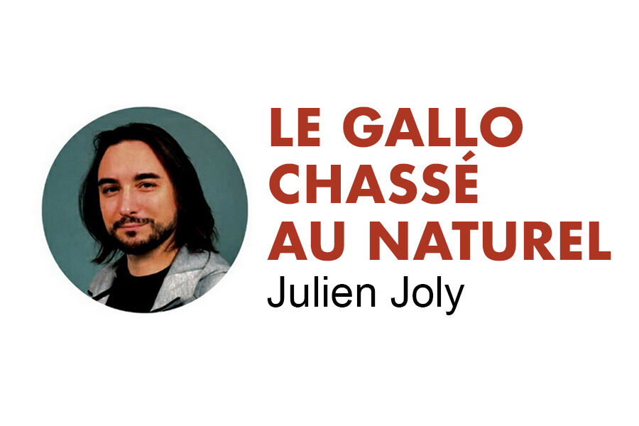 Le gallo chassé au naturel - Journal Mensuel de Rennes